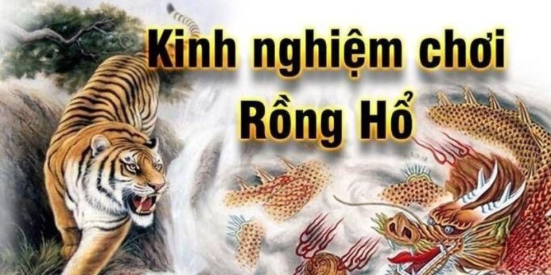 Kinh nghiệm chơi Rồng Hổ ăn thưởng lớn